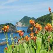 ヒメ日記 2025/07/20 10:01 投稿 上園（うえぞの） 鶯谷デッドボール