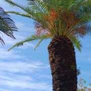 ヒメ日記 2025/07/20 18:49 投稿 上園（うえぞの） 鶯谷デッドボール