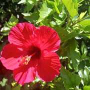 ヒメ日記 2025/07/22 20:59 投稿 上園（うえぞの） 鶯谷デッドボール