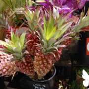 ヒメ日記 2025/07/27 20:49 投稿 上園（うえぞの） 鶯谷デッドボール