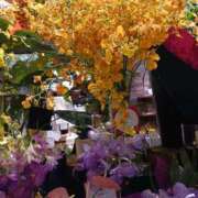 ヒメ日記 2025/07/28 17:49 投稿 上園（うえぞの） 鶯谷デッドボール