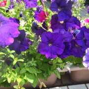 ヒメ日記 2025/08/08 20:29 投稿 上園（うえぞの） 鶯谷デッドボール