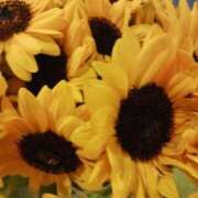 ヒメ日記 2025/08/11 14:29 投稿 上園（うえぞの） 鶯谷デッドボール