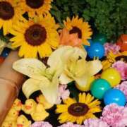 ヒメ日記 2025/08/26 17:19 投稿 上園（うえぞの） 鶯谷デッドボール