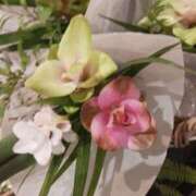 ヒメ日記 2025/09/13 15:42 投稿 上園（うえぞの） 鶯谷デッドボール