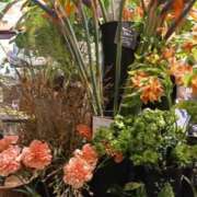 ヒメ日記 2025/09/14 14:10 投稿 上園（うえぞの） 鶯谷デッドボール