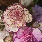 ヒメ日記 2025/09/19 17:13 投稿 上園（うえぞの） 鶯谷デッドボール