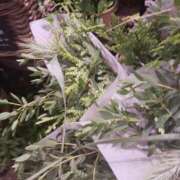 ヒメ日記 2025/09/19 21:29 投稿 上園（うえぞの） 鶯谷デッドボール