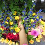 ヒメ日記 2025/10/02 15:49 投稿 上園（うえぞの） 鶯谷デッドボール