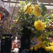 ヒメ日記 2025/10/03 23:29 投稿 上園（うえぞの） 鶯谷デッドボール