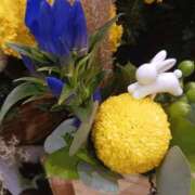 ヒメ日記 2025/10/06 12:39 投稿 上園（うえぞの） 鶯谷デッドボール