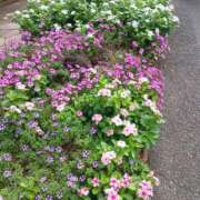 ヒメ日記 2025/10/09 10:49 投稿 上園（うえぞの） 鶯谷デッドボール