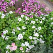 ヒメ日記 2025/10/13 20:49 投稿 上園（うえぞの） 鶯谷デッドボール