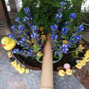 ヒメ日記 2025/10/15 18:35 投稿 上園（うえぞの） 鶯谷デッドボール