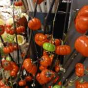 ヒメ日記 2025/10/28 19:52 投稿 上園（うえぞの） 鶯谷デッドボール