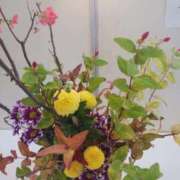 ヒメ日記 2025/11/20 09:25 投稿 上園（うえぞの） 鶯谷デッドボール