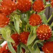 ヒメ日記 2025/11/22 22:06 投稿 上園（うえぞの） 鶯谷デッドボール