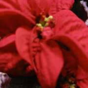 ヒメ日記 2025/11/23 17:59 投稿 上園（うえぞの） 鶯谷デッドボール