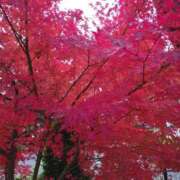 ヒメ日記 2025/12/05 20:29 投稿 上園（うえぞの） 鶯谷デッドボール