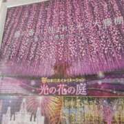 ヒメ日記 2025/12/06 16:11 投稿 上園（うえぞの） 鶯谷デッドボール