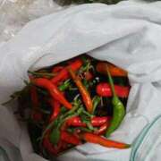 ヒメ日記 2026/01/06 23:39 投稿 上園（うえぞの） 鶯谷デッドボール