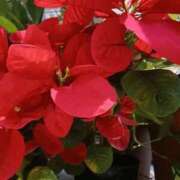 ヒメ日記 2026/01/08 13:09 投稿 上園（うえぞの） 鶯谷デッドボール