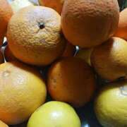 ヒメ日記 2026/01/31 19:19 投稿 上園（うえぞの） 鶯谷デッドボール