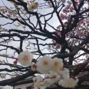 ヒメ日記 2026/02/06 09:29 投稿 上園（うえぞの） 鶯谷デッドボール