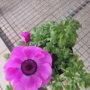 ヒメ日記 2026/02/18 19:19 投稿 上園（うえぞの） 鶯谷デッドボール