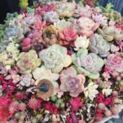 ヒメ日記 2026/02/18 23:09 投稿 上園（うえぞの） 鶯谷デッドボール