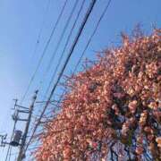 ヒメ日記 2026/03/02 23:59 投稿 上園（うえぞの） 鶯谷デッドボール