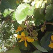 ヒメ日記 2026/03/07 22:33 投稿 上園（うえぞの） 鶯谷デッドボール