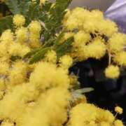 上園（うえぞの） 貴方にありがとう❤️🌷 鶯谷デッドボール