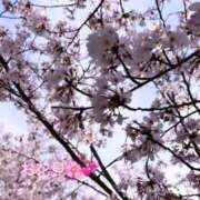 ヒメ日記 2026/04/03 19:09 投稿 新時代　未来を開け GOOD-グッド-