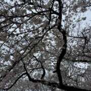 ヒメ日記 2025/04/07 11:46 投稿 ひなた SMAT×SMAT（スマットスマット）