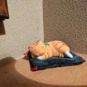 ヒメ日記 2025/03/22 15:49 投稿 日向　真由 タッチVIP