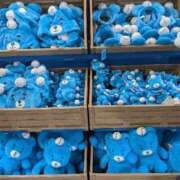 ヒメ日記 2025/03/24 14:48 投稿 日向　真由 タッチVIP