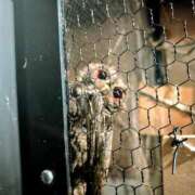 ヒメ日記 2025/08/11 14:36 投稿 日向　真由 タッチVIP