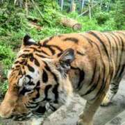 ヒメ日記 2025/08/30 14:57 投稿 日向　真由 タッチVIP