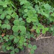 ヒメ日記 2025/09/09 15:30 投稿 日向　真由 タッチVIP