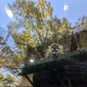 ヒメ日記 2025/10/11 15:48 投稿 日向　真由 タッチVIP