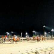 ヒメ日記 2025/11/01 03:18 投稿 日向　真由 タッチVIP