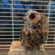 ヒメ日記 2025/11/05 14:27 投稿 日向　真由 タッチVIP