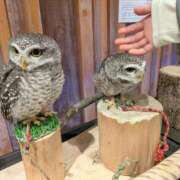 ヒメ日記 2025/11/19 14:03 投稿 日向　真由 タッチVIP