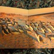 ヒメ日記 2025/12/29 12:48 投稿 日向　真由 タッチVIP