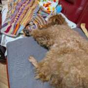 ヒメ日記 2026/01/04 21:57 投稿 日向　真由 タッチVIP