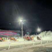 ヒメ日記 2026/03/15 12:48 投稿 日向　真由 タッチVIP