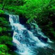 藤咲　凛 🌳 タッチVIP