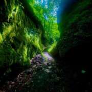 藤咲　凛 ⛰️ タッチVIP