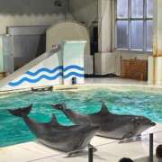 藤咲　凛 🐬 タッチVIP